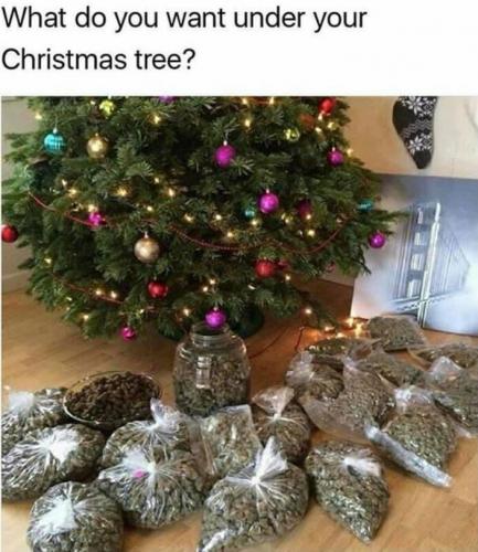 08:45:39 GMT-0500 (EST).image