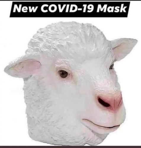 133192977_1707220832789072_9125771488787178215_n