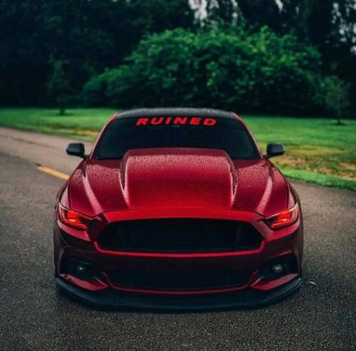 128280827_2878283768940918_1040508694223430785_o