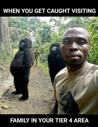 17:46:32 GMT+0000 (GMT)