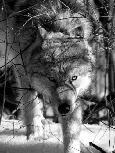 08:52:15 GMT-0600 (CST)