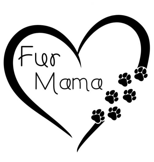 02:21:38 GMT-0500 (EST).image