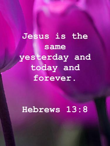 21:19:36 GMT-0500 (EST)