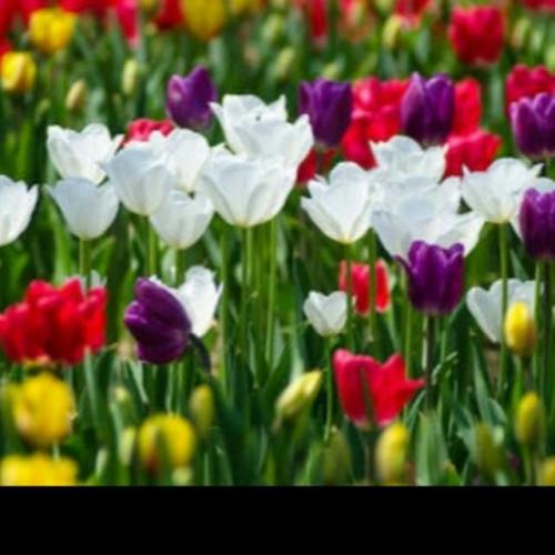 01:35:29 GMT+0100 (WAT)