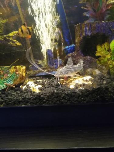 05:14:45 GMT-0600 (CST)