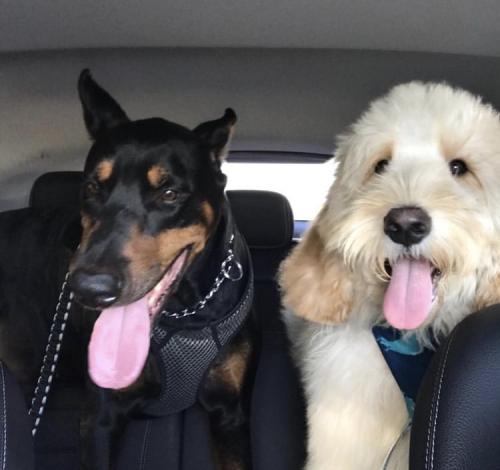 18:59:36 GMT+0100 (WAT).image