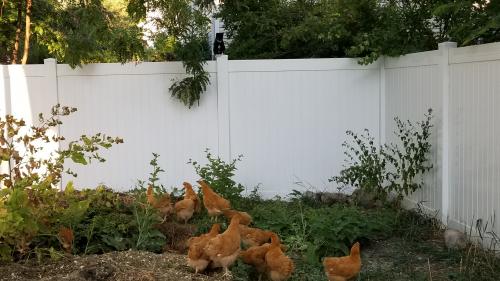 06:25:04 GMT-0700 (MST)