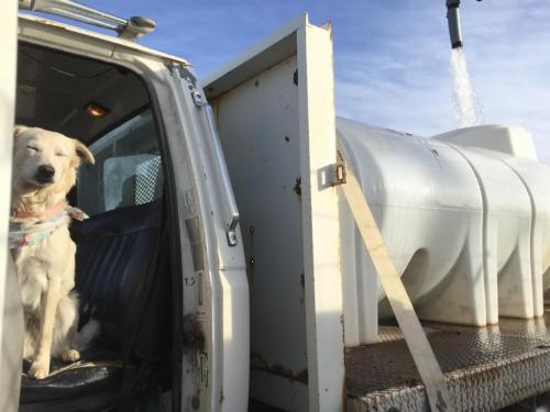 19:17:18 GMT-0800 (PST).image