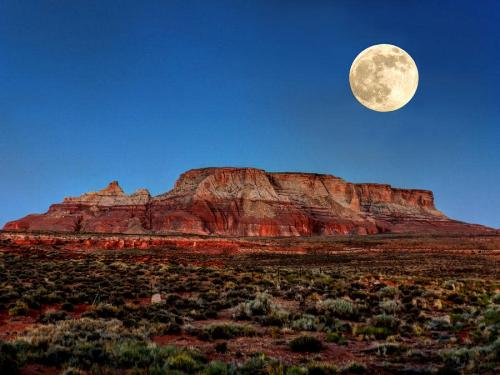 134202072_10215654136221177_8740135601455918690_n