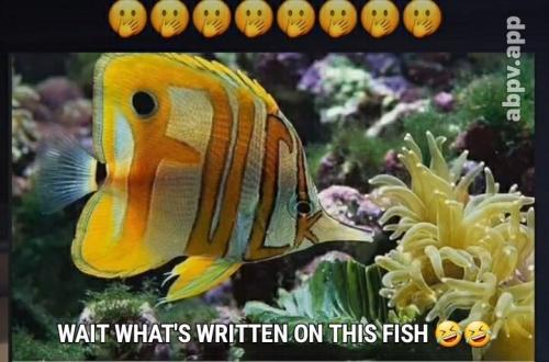 00:41:52 GMT-0600 (CST).image