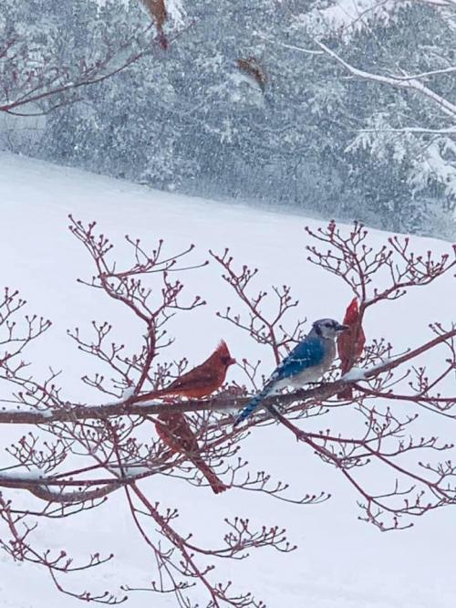 11:36:38 GMT-0600 (CST).image