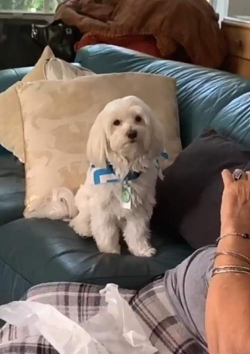 05:11:45 GMT-0500 (EST).image