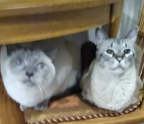 Screenshot_20200822-181525