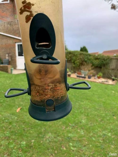 20:07:52 GMT-0800 (PST)