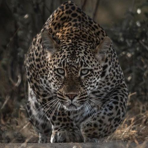 tumblr_87705dbadf246fa49fc05a50024c5d94_724c0754_540