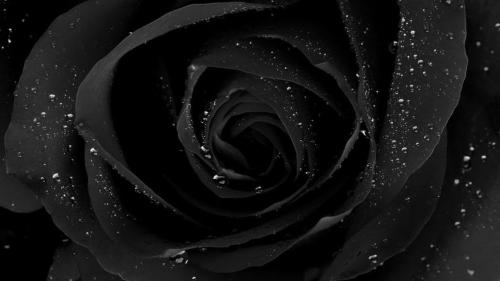 0e70c38078bbdae915ff4512f4a2b62a