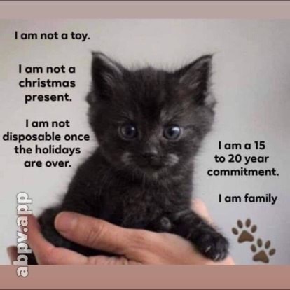 00:41:19 GMT-0600 (CST).image