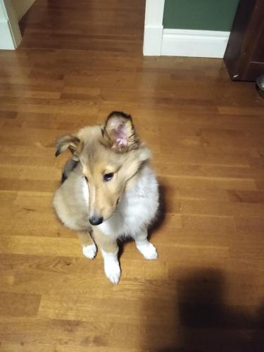 IMG_20201208_201442589