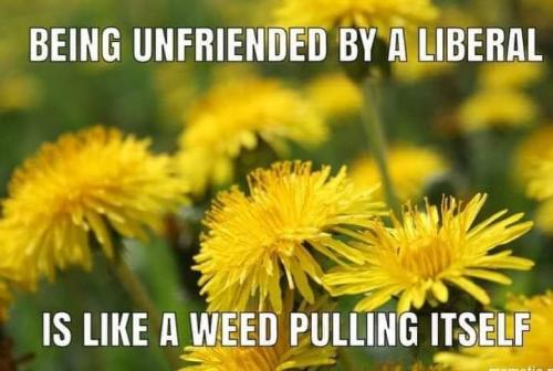 15:38:06 GMT-0600 (CST)