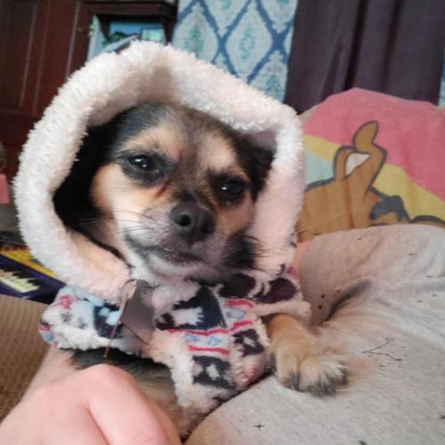 04:11:47 GMT-0500 (EST)