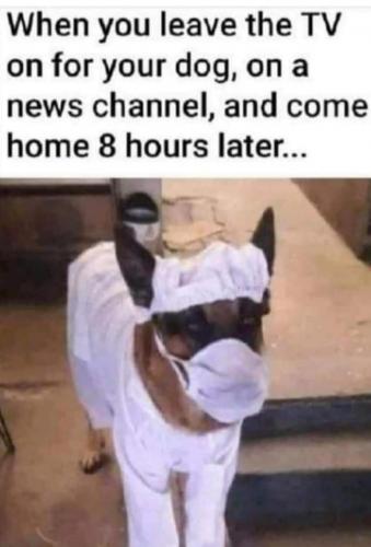 12:27:03 GMT-0800 (PST).image