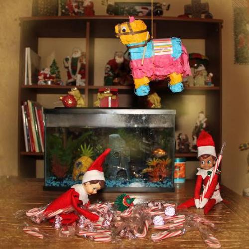 128571613_2819493088307041_983452003890013643_n