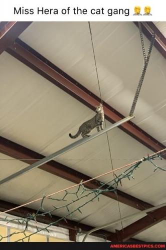 00:35:48 GMT-0600 (CST).image