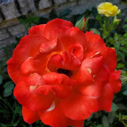 12:18:29 GMT+0100 (WAT).image