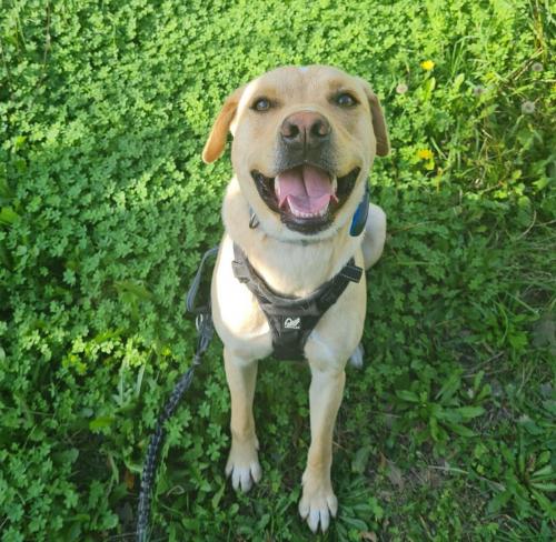 07:36:42 GMT+0100 (WAT).image