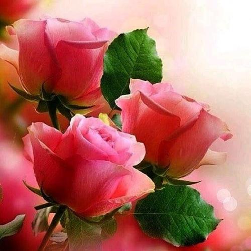 00:23:14 GMT+0100 (WAT)