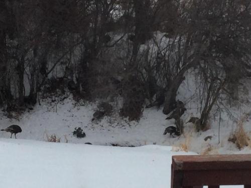 09:39:15 GMT-0700 (MST).image