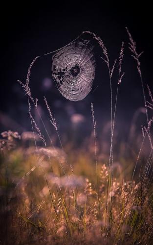 tumblr_5ca54d05d45813d0cc0fb8f16ccdd1f4_24ff0946_640