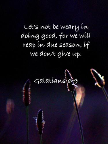 10:06:36 GMT-0500 (EST)