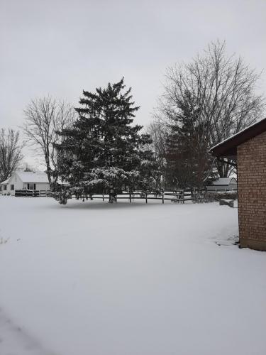 23:13:49 GMT-0500 (EST)