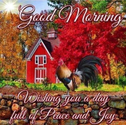 08:44:34 GMT-0600 (CST)