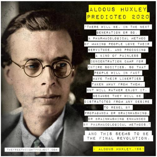 131596493_2449277272046139_349807668377706338_o