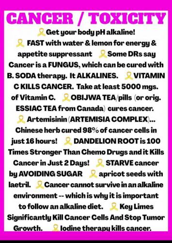 0378cf5bcbff326cd3e31f6dee71b276_1024