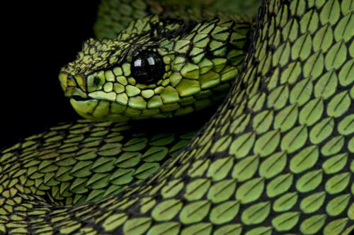 131891289_3383873388391180_7309150824894201829_o