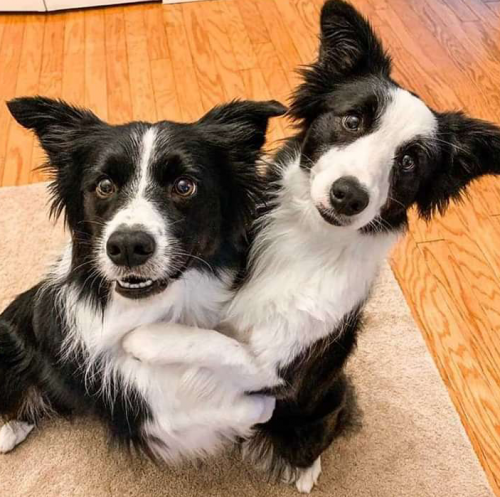 05:36:17 GMT+0100 (WAT).png