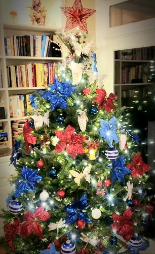 00:15:57 GMT-0600 (CST)