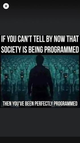 You_Have_Been_Perfectly_Programmed