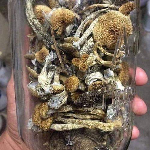 18:26:10 GMT-0800 (PST)