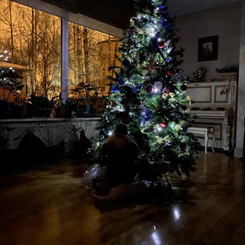 21:30:43 GMT+0000 (GMT)