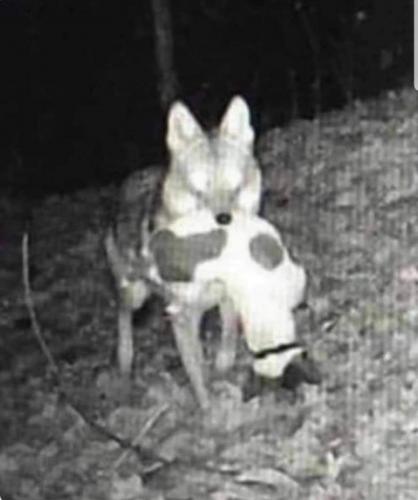 23:31:16 GMT-0500 (EST)