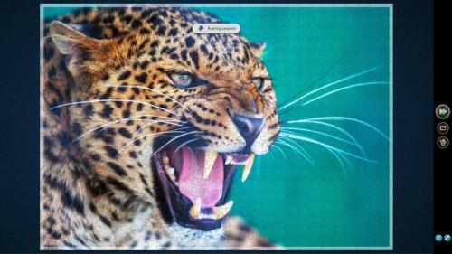 QVZlbUhwWnYzSktaUmRaQQ