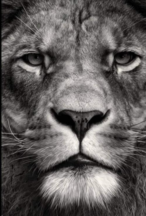 19:03:25 GMT+0100 (WAT).png