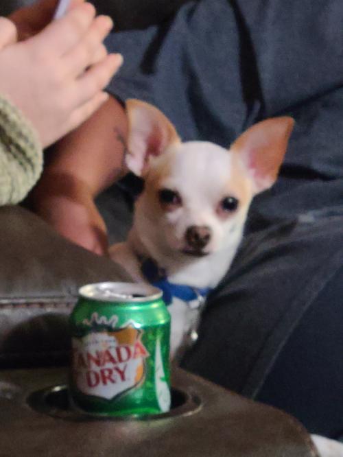 16:53:23 GMT-0600 (CST)