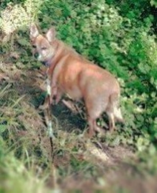 12:33:10 GMT-0600 (CST)