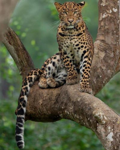 132078737_1132730640500116_1984430280727496132_o