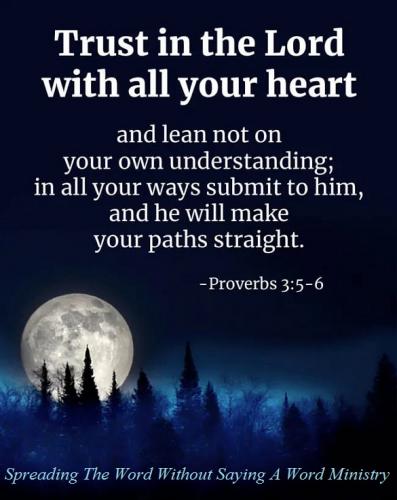 116871195_1205627229786284_1591407309346522571_n